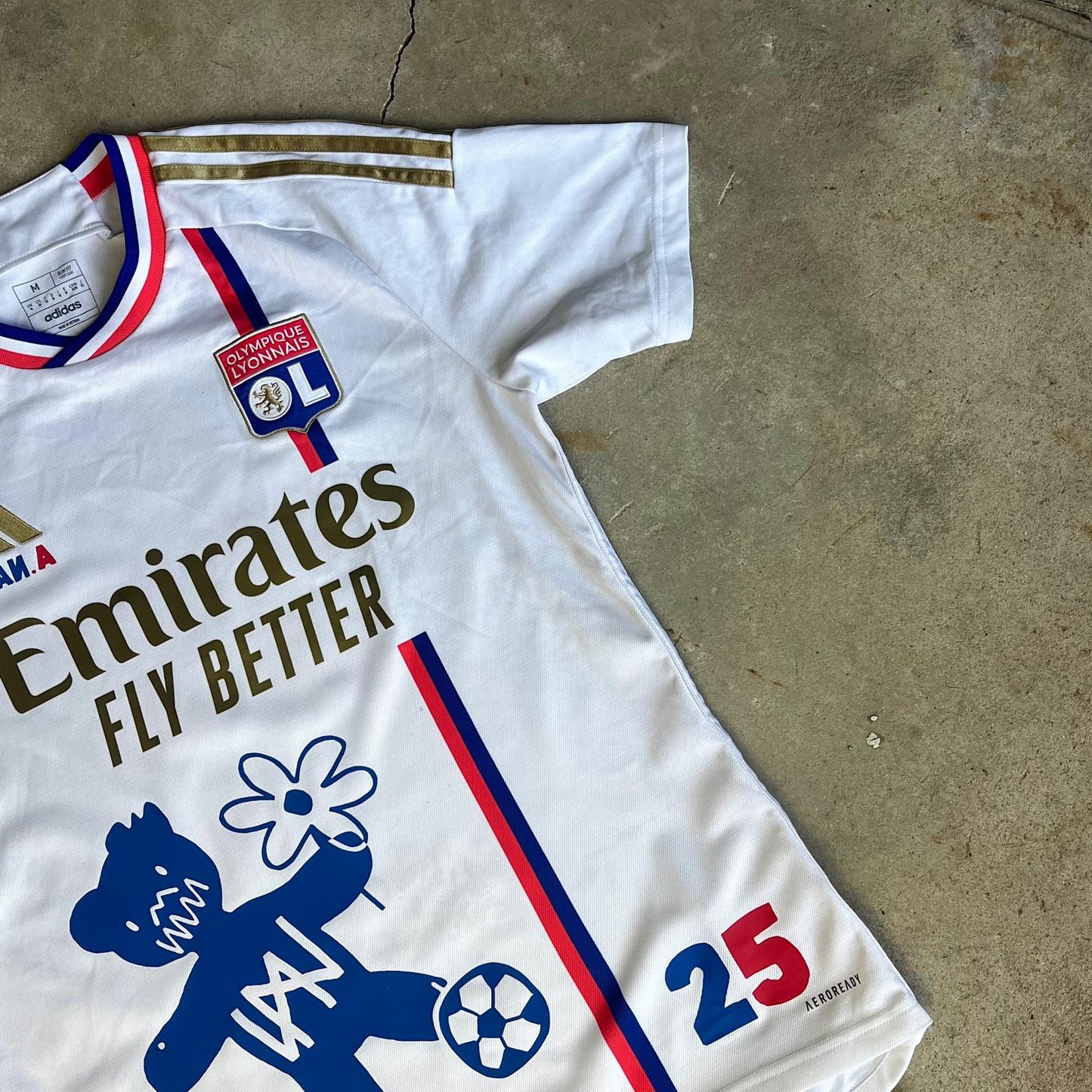 Plan.A supporter #lyon