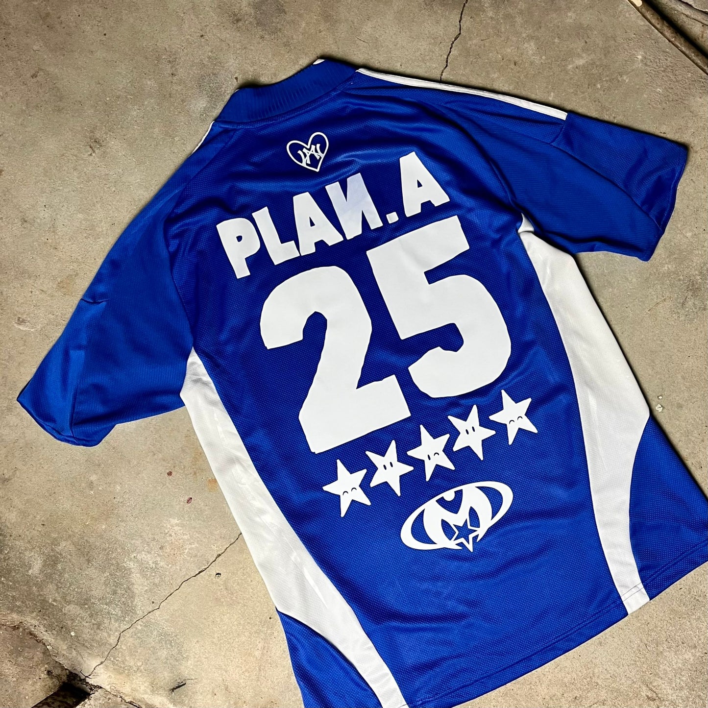 Plan.A supporter #schalke