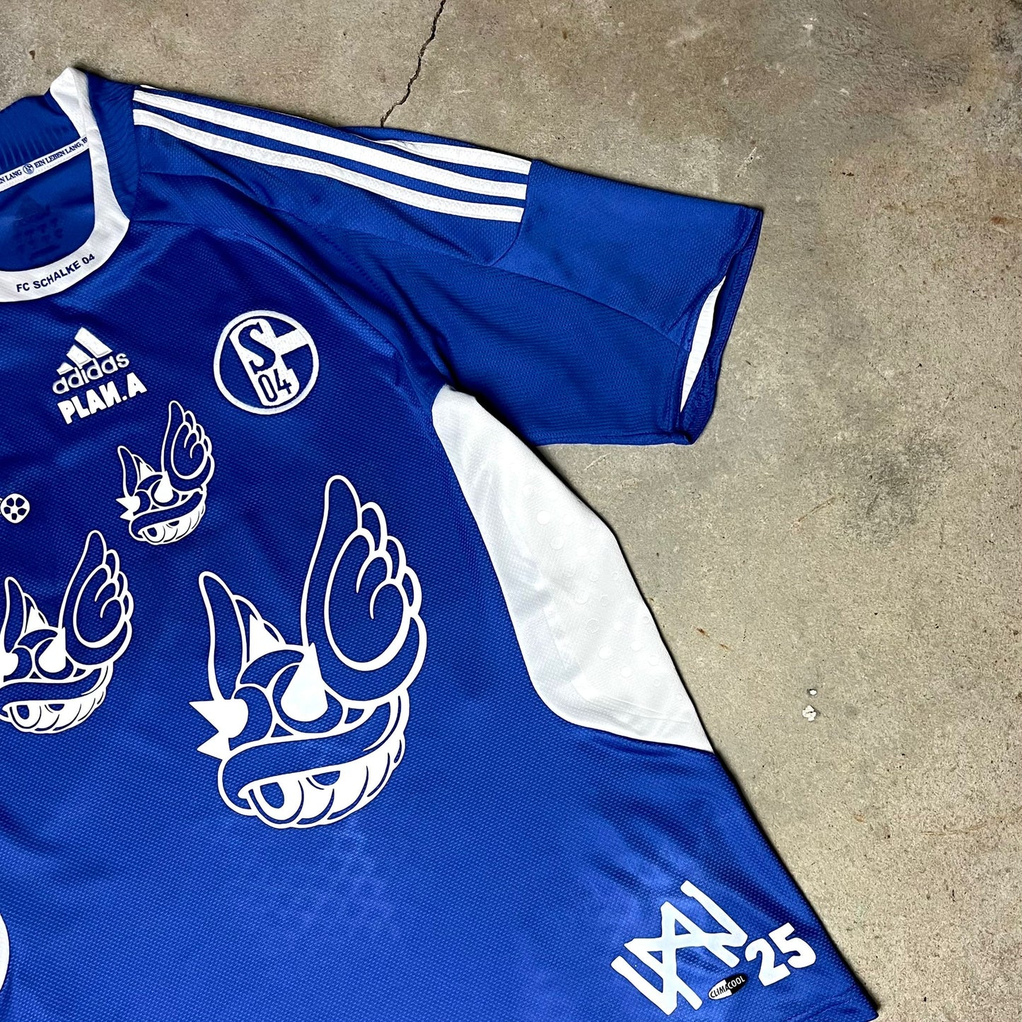 Plan.A supporter #schalke