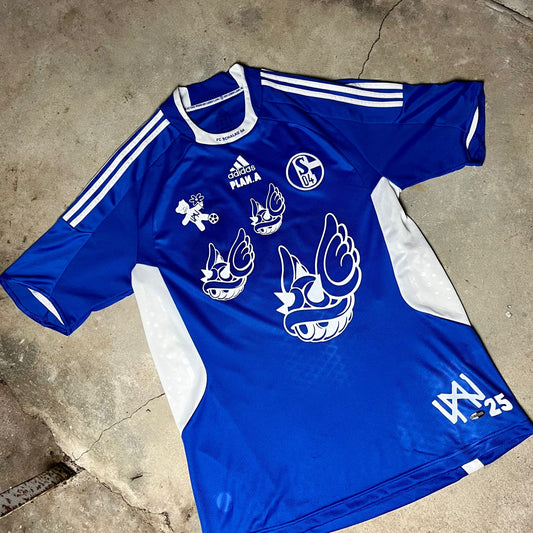 Plan.A supporter #schalke